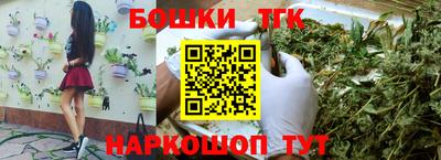 дмт Аргун