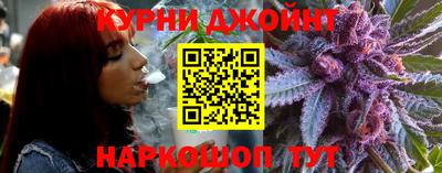 дмт Аргун