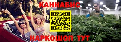 дмт Аргун