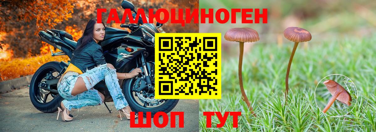 Псилоцибиновые грибы мухоморы Волгодонск