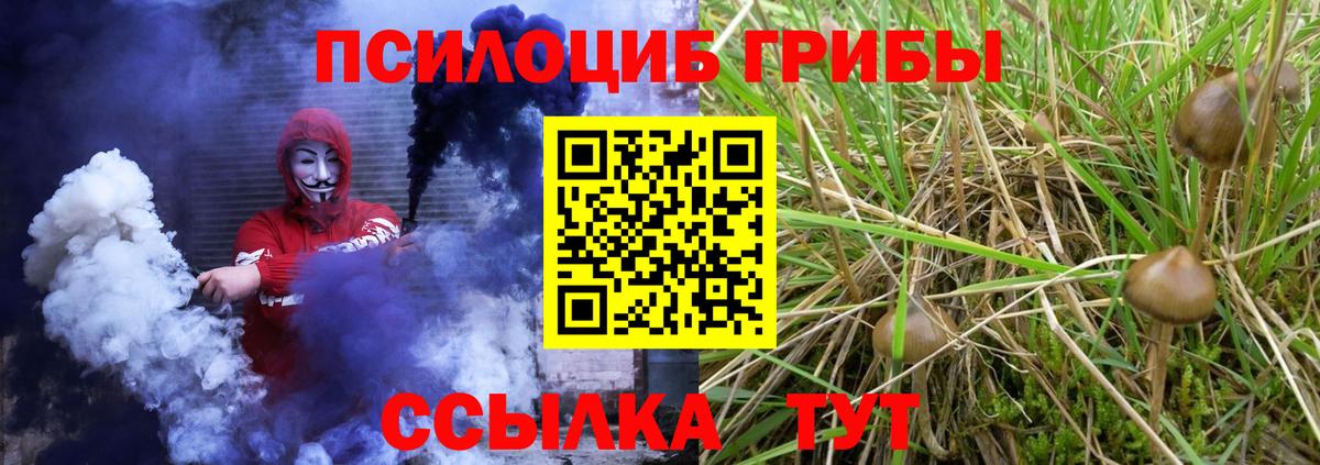 Галлюциногенные грибы мухоморы  Псилоцибиновые грибы Psilocybe  Волгодонск  Вход с VPN 
